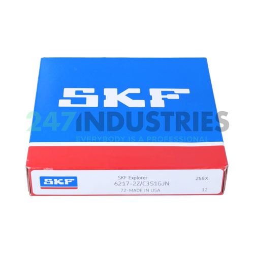 6217-2Z/C3S1GJN SKF Image 3