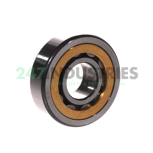 NU304-E-XL-M1A-C3 FAG Image 2