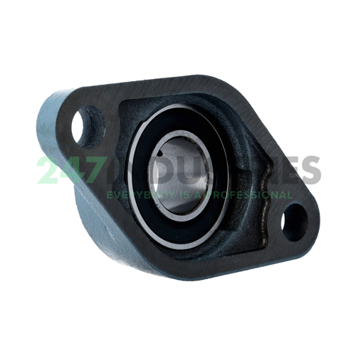 BFL206K Asahi Image 3