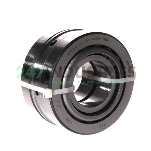 31309-XL-DF-A60-100 FAG
