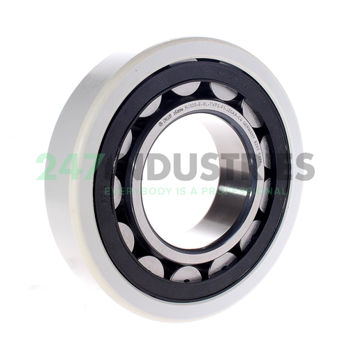 NJ320-E-XL-TVP2-F1-J20AA-C4 FAG