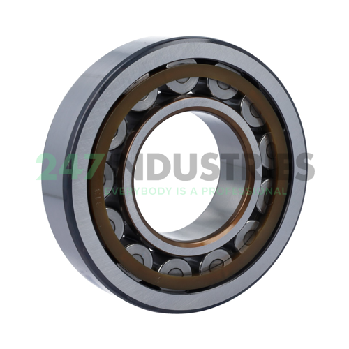 NU313ECP SKF Image 2
