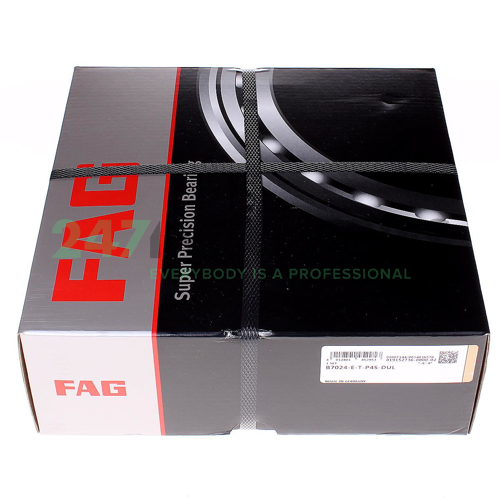 B7024-E-T-P4S-DUL FAG Image 2