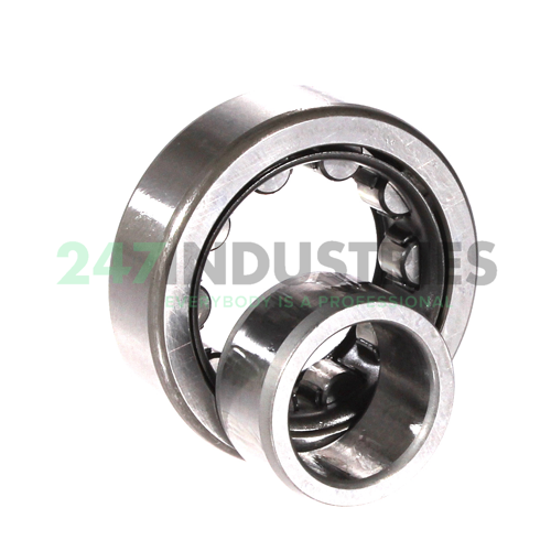 NU204W NSK Image 3