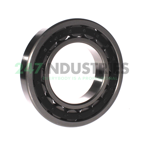 NU219E C3 FBJ Image 2