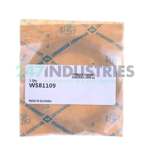 WS81109 INA Image 2