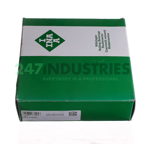 GG.CJTZ09 INA Image 2