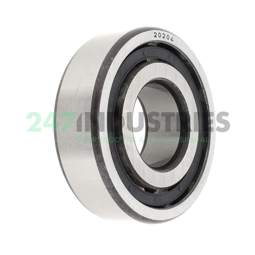 20204TN9 SKF
