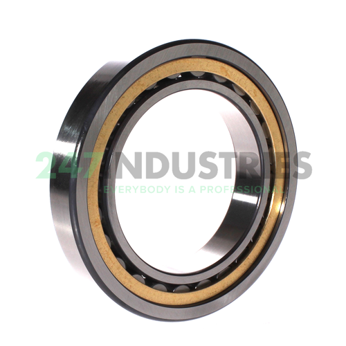 NU1022-XL-M1A FAG Image 2