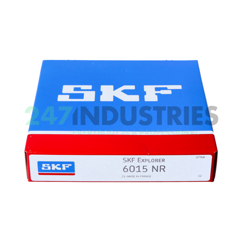 6015NR SKF Image 3