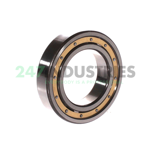 6008-MA-C3 FAG Image 2