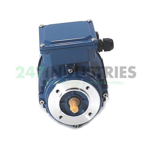 IE1-MSE561-4-B14 Cemer Image 2