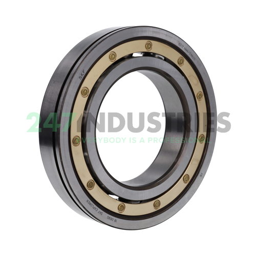 6217NMA/C4B20 SKF