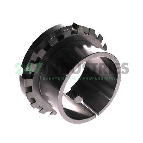 H321 Neutral Image 2