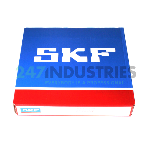 6024-2Z SKF Image 3