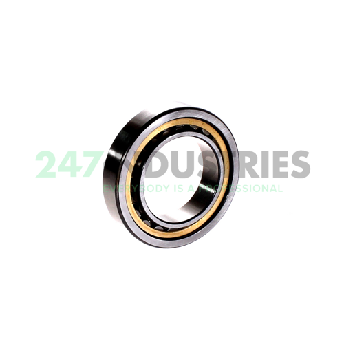 NU1009-XL-M1 FAG Image 2