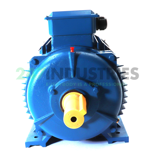 Y2-180M-4-B3 BGR Image 2