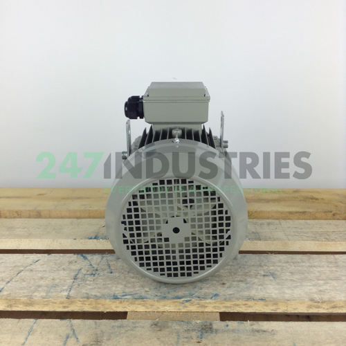 ME112M-4B3 Gibbons Image 5