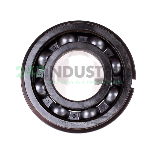 6313-ZNR SKF Image 2