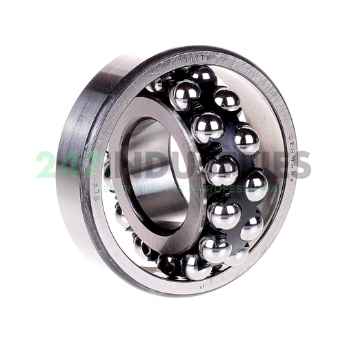 1307TV SLF Fraureuth Image 2