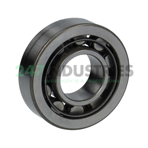 NU202WC3 NSK Image 2