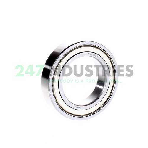 6009ZZ Bing Netherlands