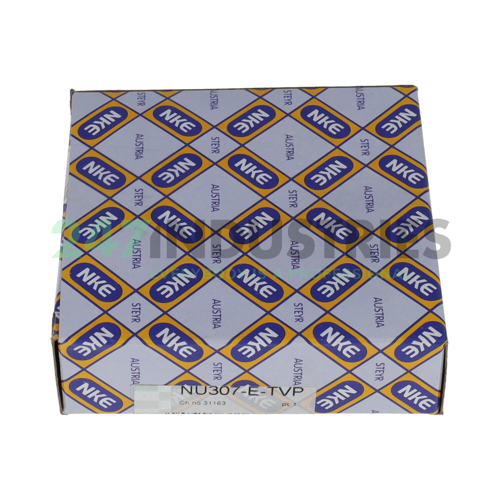 NU307-E-TVP NKE Image 4