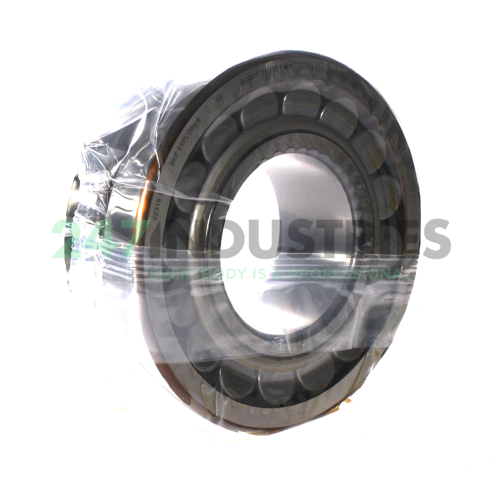 22318 SKF