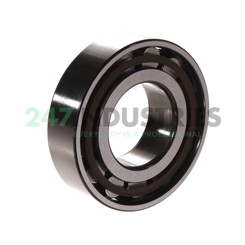 N206ECP SKF Image 3