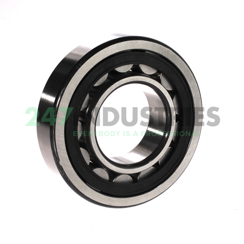 NU313E.TVP2 FAG Image 2