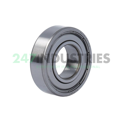 6004 2Z C3 NKE