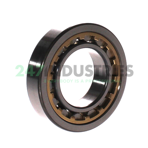 NU209G1 C3 NTN Image 2