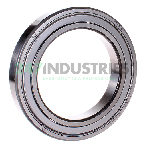 6024-Z SKF Image 2