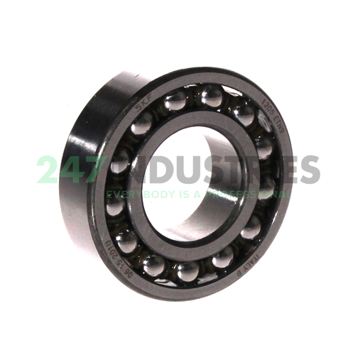 1205ETN9 SKF