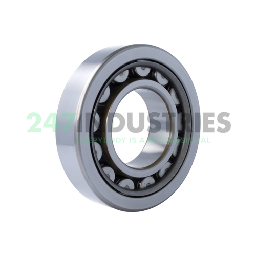 NU318WC3 NSK Image 2