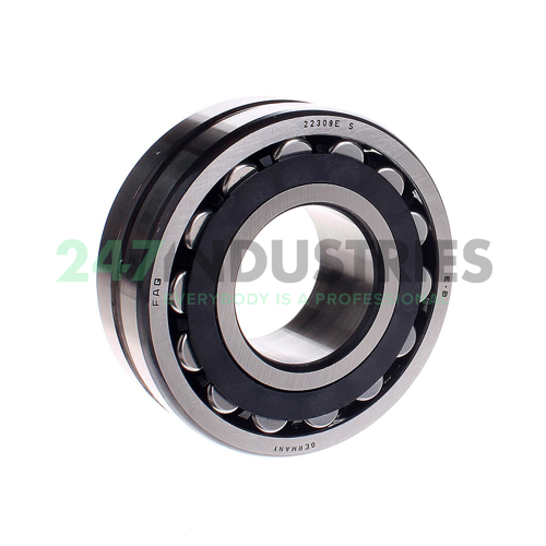 22309ES.TVPB FAG