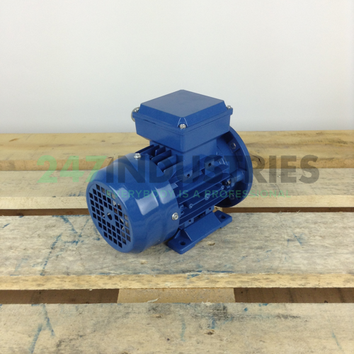 MS6314B35 Gibbons Image 3