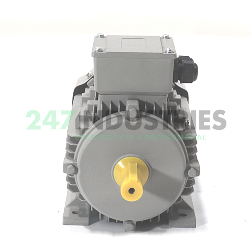Y3HE2-90L4B3Z-DK Moll motors Image 2