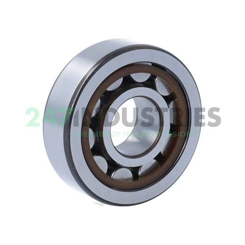 NJ303ECP SKF Image 2