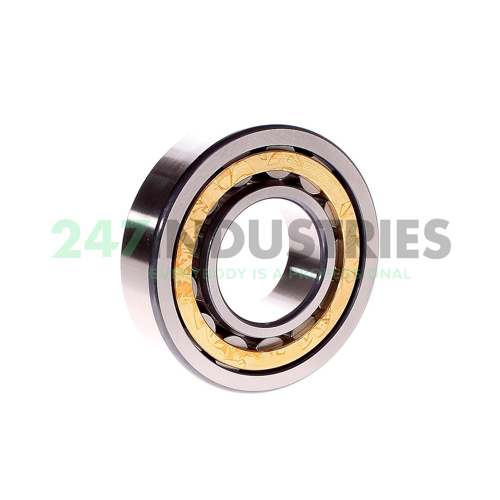 NU309-E-XL-M1-C3 FAG Image 3