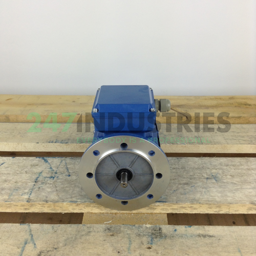 MS6314B35 Gibbons Image 4