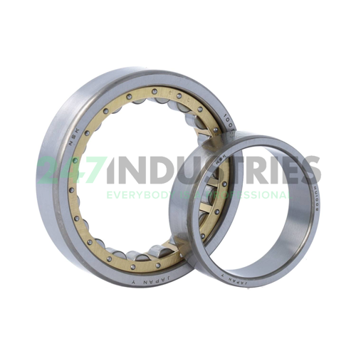 NU1009 NSK Image 3