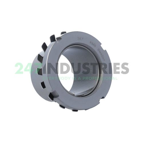 H309C SKF