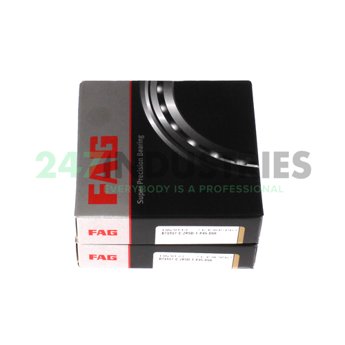 B71913-C-2RSD-T-P4S-DUL FAG Image 2