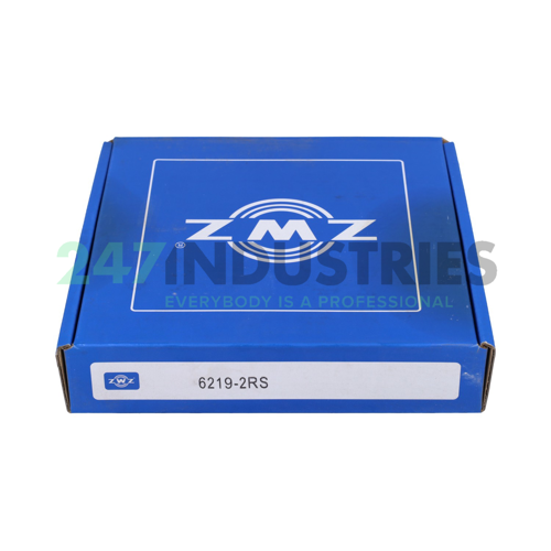 6219 2RS ZWZ Image 3