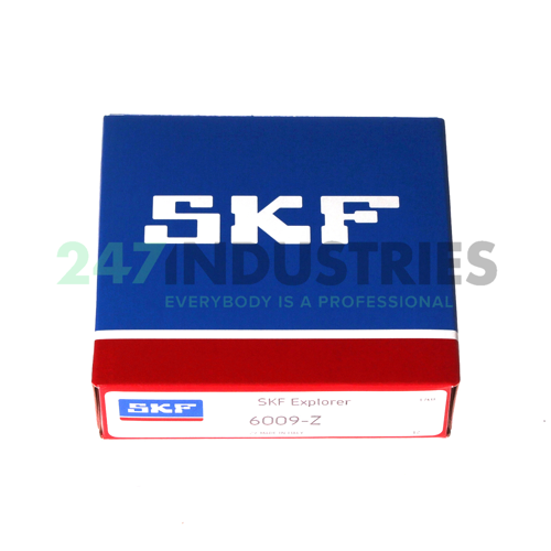 6009-Z SKF Image 3