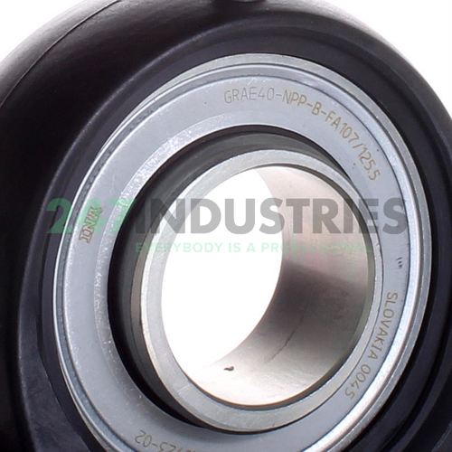 PASE40-TV-FA125.5 INA Image 2