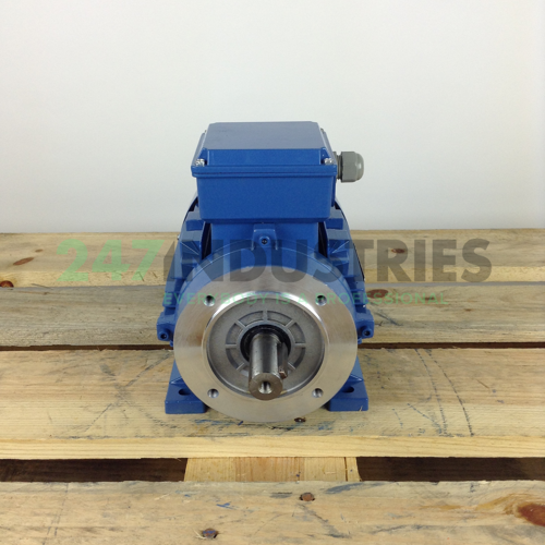 MS90L-2B34 Gibbons Image 4