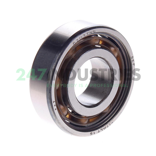 6203TN9 SKF