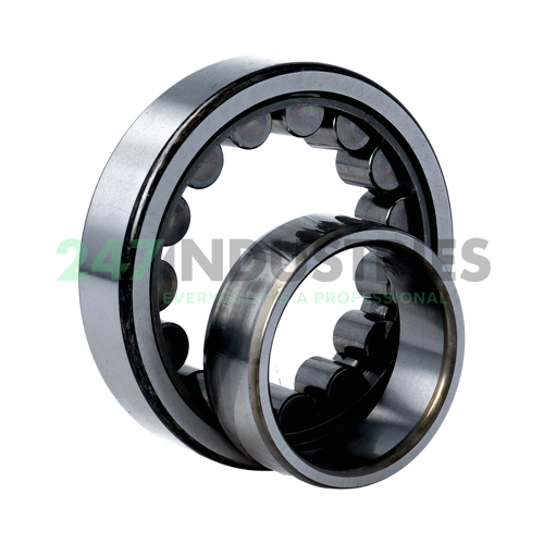 NU209EWC3 NSK Image 3